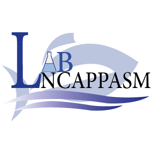 LNCAPPASM